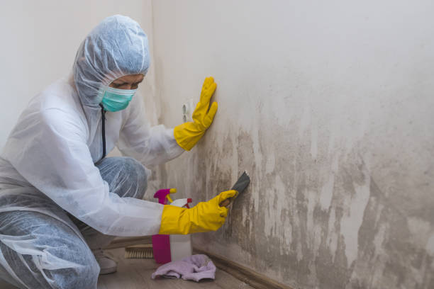 Best Emergency Mold Removal  in West Livingston, TX