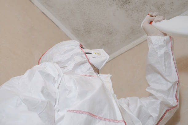 Best Emergency Mold Removal  in West Livingston, TX