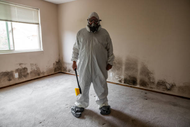 Best Attic Mold Removal  in West Livingston, TX
